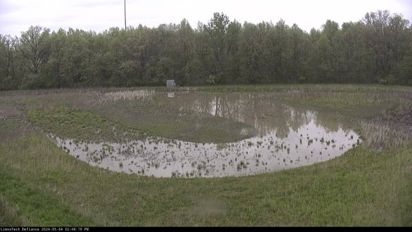 Cell 4_24-05-04_14-48-20-31