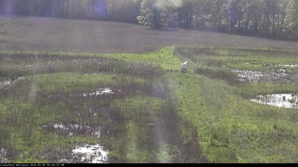 Cell 1 to 2_24-05-05_18-08-28-32