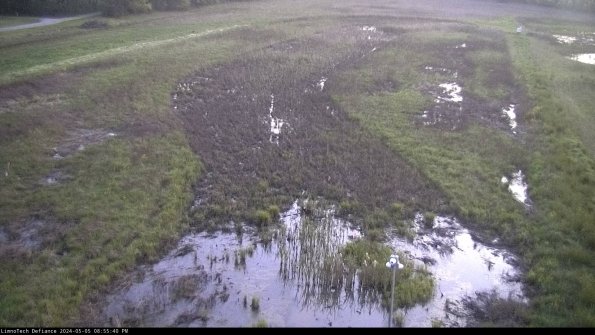 Cell 1_24-05-05_20-55-41-34