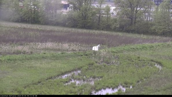 Cell 2 to 3_24-05-05_09-12-58-48