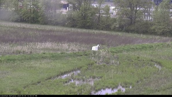 Cell 2 to 3_24-05-05_12-33-57-54