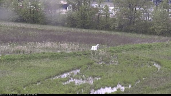 Cell 2 to 3_24-05-05_14-47-56-45