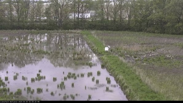 Cell 3 to 4_24-05-05_14-48-25-32