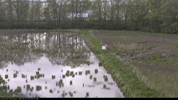 Cell 3 to 4_24-05-05_17-35-53-32