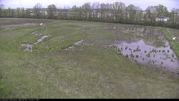 Cell 3_24-05-05_12-34-12-32