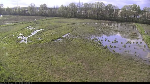 Cell 3_24-05-05_18-09-08-59