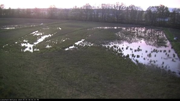 Cell 3_24-05-05_20-56-36-32