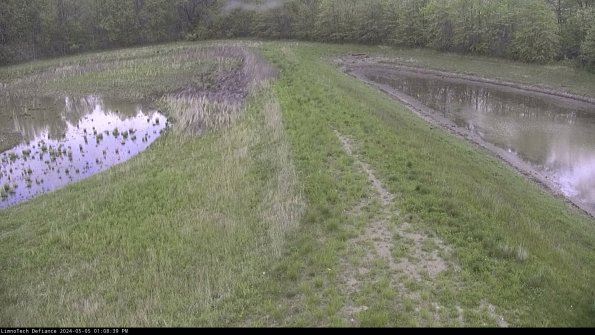 Cell 4 to Basin_24-05-05_13-08-40-33