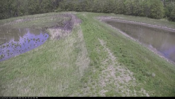 Cell 4 to Basin_24-05-05_15-22-39-31