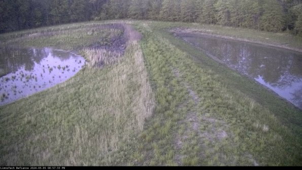 Cell 4 to Basin_24-05-05_20-57-34-32