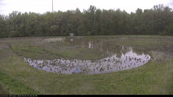 Cell 4_24-05-05_13-08-10-37