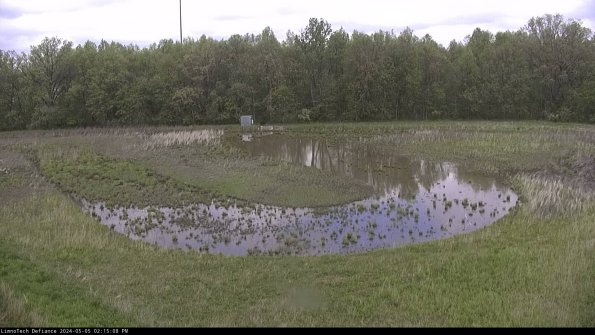 Cell 4_24-05-05_14-15-09-32