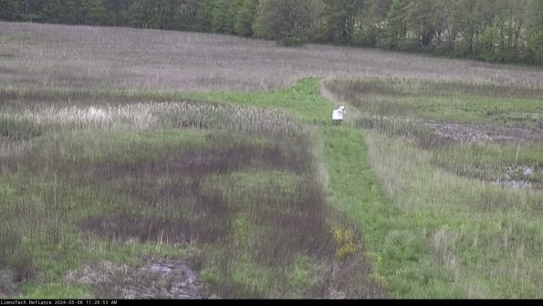 Cell 1 to 2_24-05-06_11-26-54-33