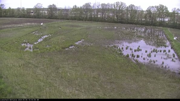 Cell 3_24-05-06_10-54-06-55