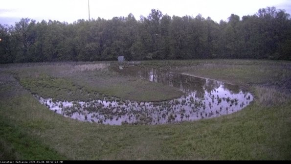 Cell 4_24-05-06_20-57-27-35