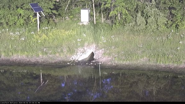 Basin Inflow_24-06-02_19-58-53-34