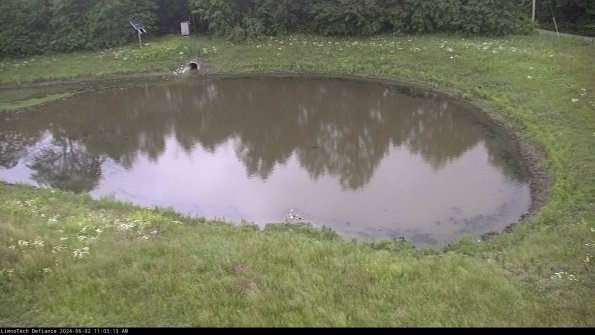 Basin Right_24-06-02_11-03-14-33