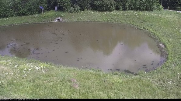 Basin Right_24-06-02_16-04-42-31