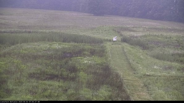 Cell 1 to 2_24-06-02_07-06-28-32