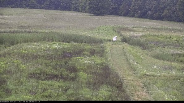 Cell 1 to 2_24-06-02_08-46-56-34