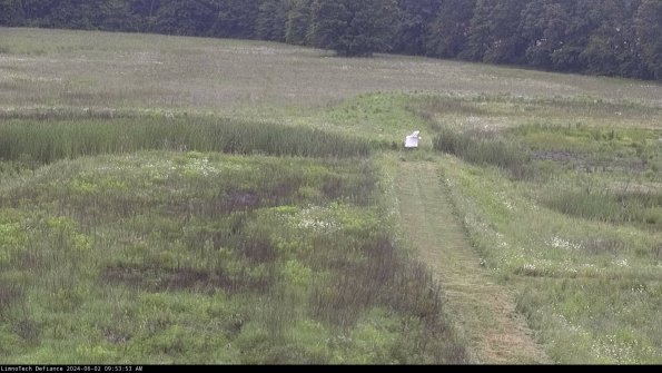 Cell 1 to 2_24-06-02_09-53-54-34