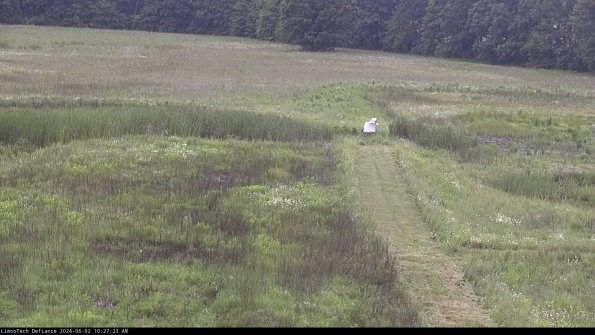 Cell 1 to 2_24-06-02_10-27-24-33