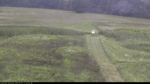 Cell 1 to 2_24-06-02_11-34-23-34