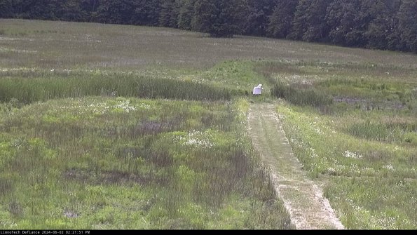 Cell 1 to 2_24-06-02_14-21-52-34