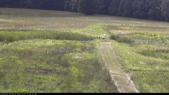 Cell 1 to 2_24-06-02_16-02-21-31