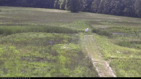 Cell 1 to 2_24-06-02_16-35-50-32