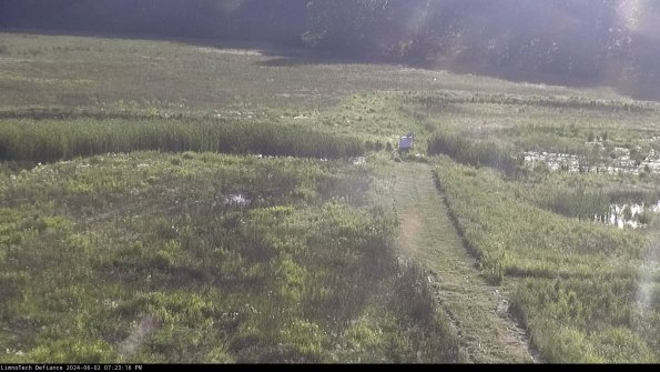 Cell 1 to 2_24-06-02_19-23-17-33