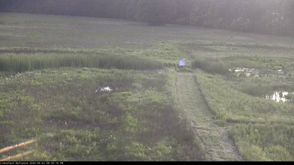 Cell 1 to 2_24-06-02_20-30-17-34