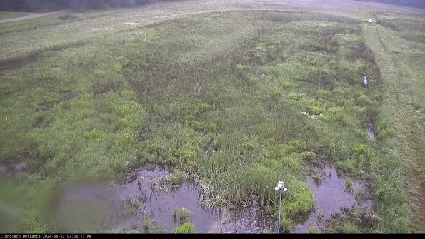 Cell 1_24-06-02_07-06-14-34