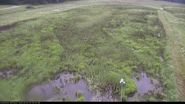 Cell 1_24-06-02_07-39-43-32