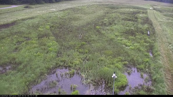 Cell 1_24-06-02_08-13-12-34