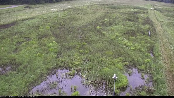 Cell 1_24-06-02_08-46-42-33