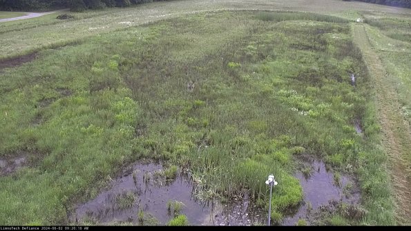 Cell 1_24-06-02_09-20-11-31