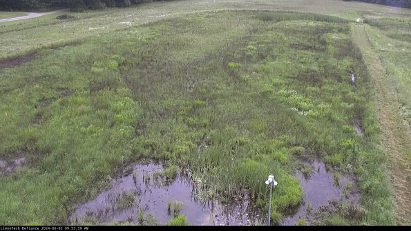 Cell 1_24-06-02_09-53-40-33