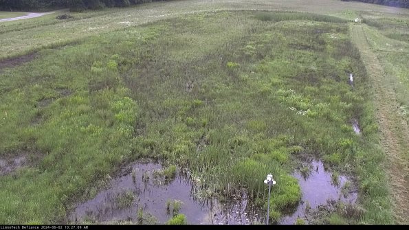 Cell 1_24-06-02_10-27-10-35