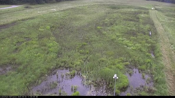 Cell 1_24-06-02_11-00-40-34