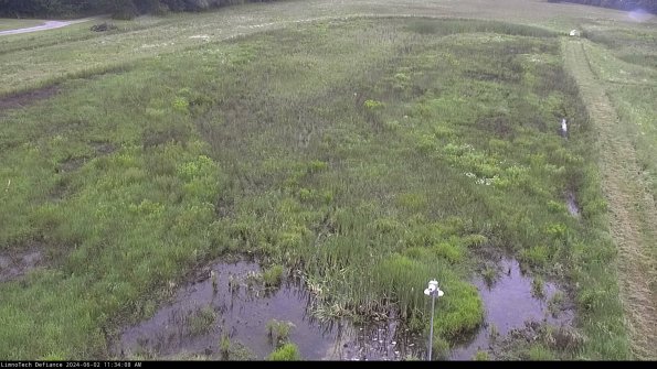 Cell 1_24-06-02_11-34-09-32