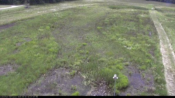 Cell 1_24-06-02_14-21-38-33