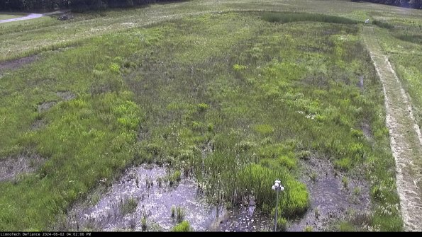 Cell 1_24-06-02_16-02-07-32