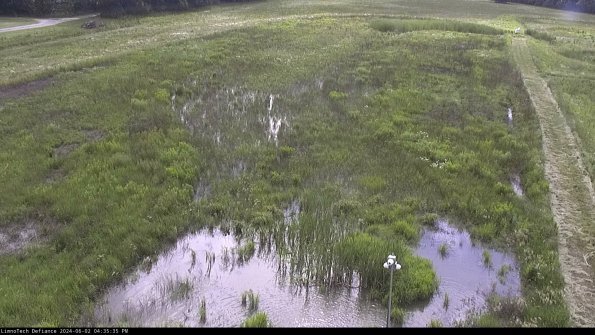 Cell 1_24-06-02_16-35-36-34