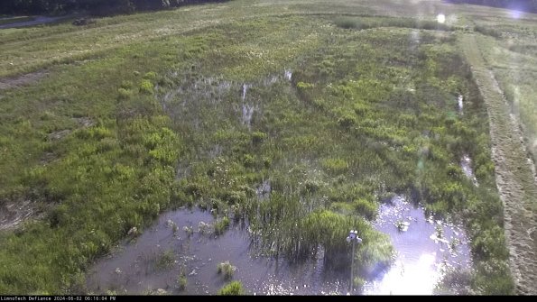 Cell 1_24-06-02_18-16-05-31