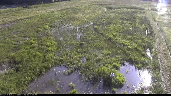 Cell 1_24-06-02_18-49-33-32