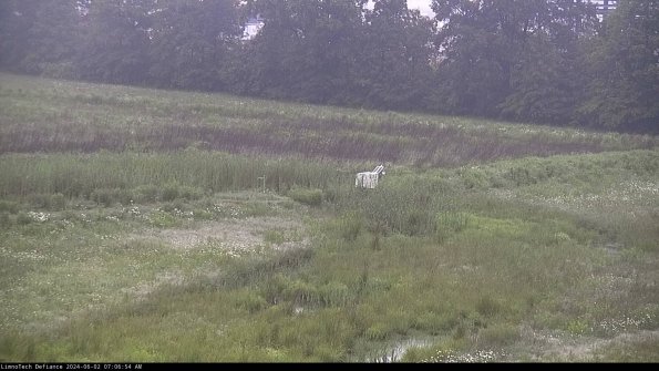 Cell 2 to 3_24-06-02_07-06-54-54