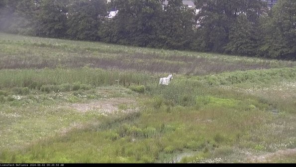 Cell 2 to 3_24-06-02_09-20-51-42