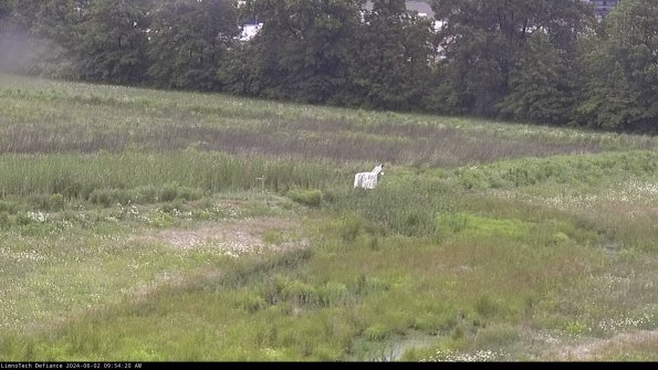 Cell 2 to 3_24-06-02_09-54-20-47