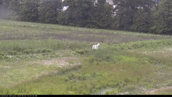 Cell 2 to 3_24-06-02_10-27-50-46